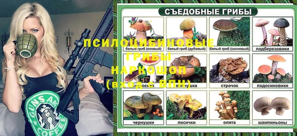 сатива Алзамай