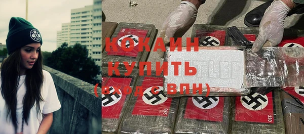 сатива Алзамай