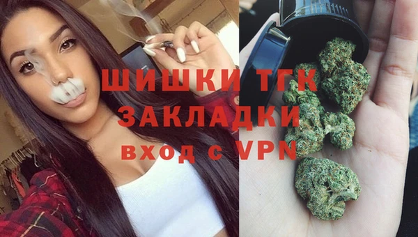 spice Алексин