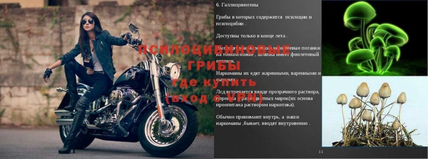 spice Алексин